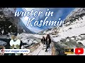 Winter in Kashmir 2023 : Episod 1 kami main salji di Sonmarg