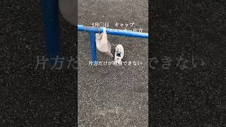 残念な公園6#カニヘンダックス #ボーダーコリー