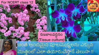 Plant tissue culture in Telugu for class 10 &10+ (మొక్కల కణజాలవర్ధనం)