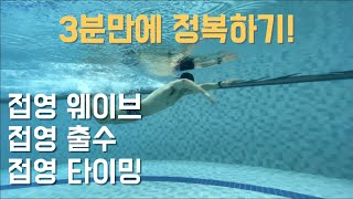 접영 웨이브 3분만에 완벽 배우기! [접영 입수 출수 타이밍 / 접영 발차기 / 접영 팔돌리기 / 접영 잘하는 법]