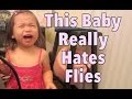 JB Really HATES FLIES! - August 03, 2014 - itsJudysLife Daily Vlog