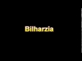 What Is The Definition Of Bilharzia Medical Dictionary Free Online