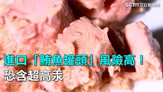 進口「鮪魚罐頭」風險高！恐含超高汞｜三立新聞網SETN.com