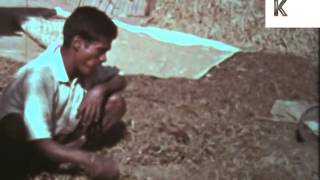 1970s Rural India, Village Life