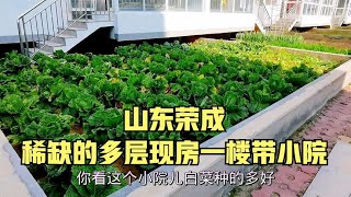 山东荣成现房一楼带小院，4000多一平稀缺多层，大家觉得怎么样