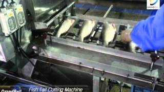 [그랜드벨] 민물대두고기가공라인 Fish processing line (china)