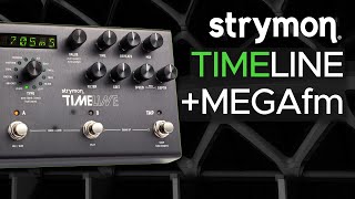 Strymon Timeline Sound Demo (no talking) with MEGAfm Synth