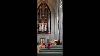 Organ Concert at Hallgrimskirkja (the church of Hallgrimur)