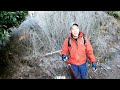 【百岳專輯】西巒大山 單攻⛰️ ｜2k👿地獄攀爬全紀錄💪｜🥵痛苦指數直逼志佳陽 屏風山｜超過1700爬升｜🚗停車資訊🚗｜人倫林道