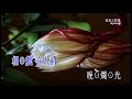 n 知音恨别离 karaoke edition