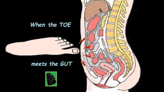 💓For theoretical physicists only: The Theory of Everything (TOE)💓 #theoreticalphysics #physics