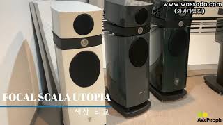 [와싸다닷컴] FOCAL Scala Utopia Color Evo 색상 비교