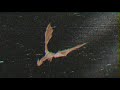 WOW (INN8 FLIP) - POST MALONE