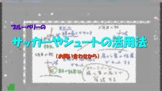 サッカーやシュートの活用法（お問い合わせから）　せらす果樹園