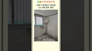 서울특별시시 동대문구 장안동 소재 빌라 LH 도배 장판 #gh도배장판 #sh도배장판 #도배장판