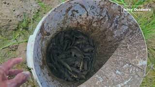 How to catch fish in the mud in the dry season - ចាប់ត្រីក្នុងស្រែរីងទឹក