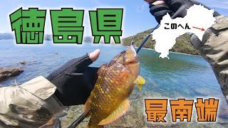 徳島県最南端の漁港でライトゲームをやってみた！