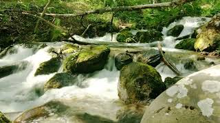 Nature's Calm - Riverside Relaxation