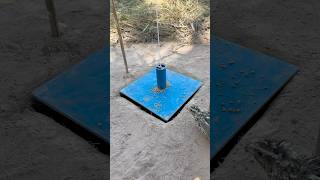 Amazing Creative Underground Quail Trap - Best Underground Quail Trap #shorts