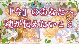 074.eriko耳💖「今」のあなたへ魂が伝えたいこと✨魂さんが今伝えたい大切なことがありました🫶💕　あなただけを思う存在から愛のメッセージ💞オラクルカード🔮ルノルマンカード🔮👑癒しと希望🍀🌟🌹