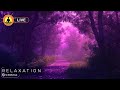 🔴 Relaxing Zen Music 24/7, Stress Relief Music, Sleep Music, Meditation Music, Study, Calming Music