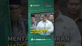 Mentan Patenkan Harga Singkong Rp1.350/kg