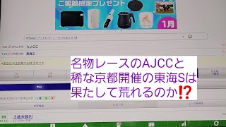 予想屋松ちゃんの【G2】東海SとAJCCの予想とその買い目を発表します⁉️｢競馬予想｣#88