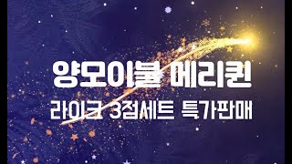 양모이불 메리퀸 라이크 3점세트 특가판매