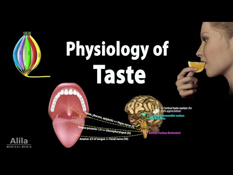 How do taste buds differ from person to person?