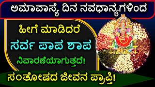 ಅಮಾವಾಸ್ಯೆ ದಿನ ನವಧಾನ್ಯಗಳಿಂದ ಹೀಗೆ ಮಾಡಿದರೆ ಸರ್ವ ಪಾಪ ಶಾಪ ನಿವಾರಣೆಯಾಗುತ್ತದೆ! ಸ೦ತೋಷದ ಜೀವನ ಪ್ರಾಪ್ತಿ!