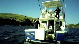 Big bluefin tuna caught inside Montague Island