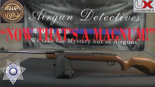 RWS (Diana) 350 Magnum N-TEC Classic \