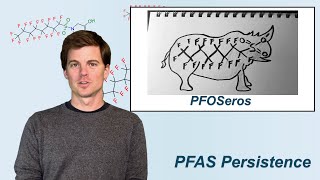 Three Things to Know About PFAS: Part 1 Persistence