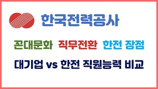 한국전력공사의 모든것 2편. 직무전문성 꼰대문화 한전직원 수준, 한전 강추 이유 등