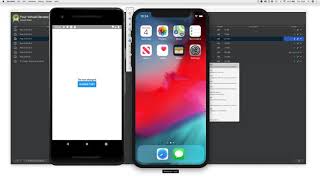 11 Running the App on an iOS Simulator