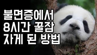 불면증을 집에서 혼자 극복했던 방법 (잠 안올때 꿀잠 도움 된 대처법)