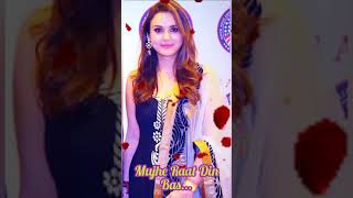 "Mujhe Raat Din Bas "|| Full Romantic Song|| Sangharsh || Sonu Nigam || Priety Zinta ||