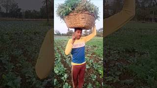 प्लीज दोस्तों देख लो वरना पछताओगे 🤣🤣🤣🤣#Kisan #short#threading#videos...