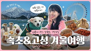 강원도 겨울여행 VLOG 🐚 겨울아 가지마.. | 속초 & 고성 브이로그 | 아이파크스위트호텔 애견동반 | 눈길 드라이브 | 셀토스 초보운전