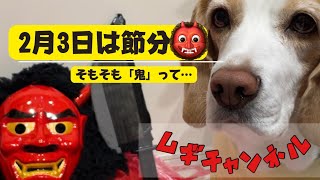 【ビーグル犬】2月3日は節分…そもそも節分の鬼って…👹