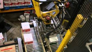 Fanuc R-30I Robotic Palletizer with 4 Position Turntable Cell 3