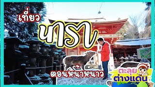 ตะลุยต่างแดน เที่ยวนารา ตอนหน้าหนาว | guyuptome