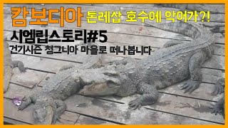 캄보디아 씨엠립 톤레삽 호수 건기 시즌 \