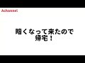 栗拾いしてたら【チチタケ】が生えてたので食べてみました