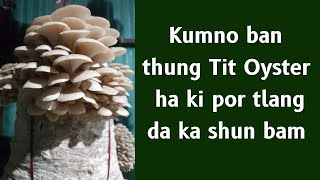 Kumno ban thung Tit Oyster ha ki por tlang da ka shun bam