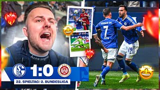 Meine NERVEN LIEGEN BLANK! 😨 Schalke 04 vs Wehen Wiesbaden STADION VLOG 🏟️