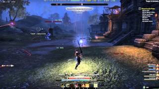 ESO V14 Sorc/Temp Stamina Build Trailer OMG King Richard