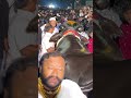 bahubali bull special attraction in sadar celebrations 2023 laddu yadav sadar 2023