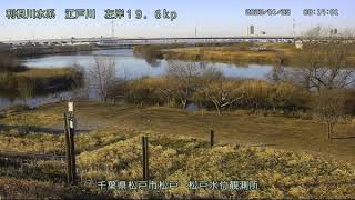 江戸川 松戸水位観測所 ライブカメラ (2023/01/29) 定点観測 Edo River Live Camera