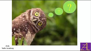 Topic 6: Debugging Tools - Practice Debugging a VBA Program, Part 1